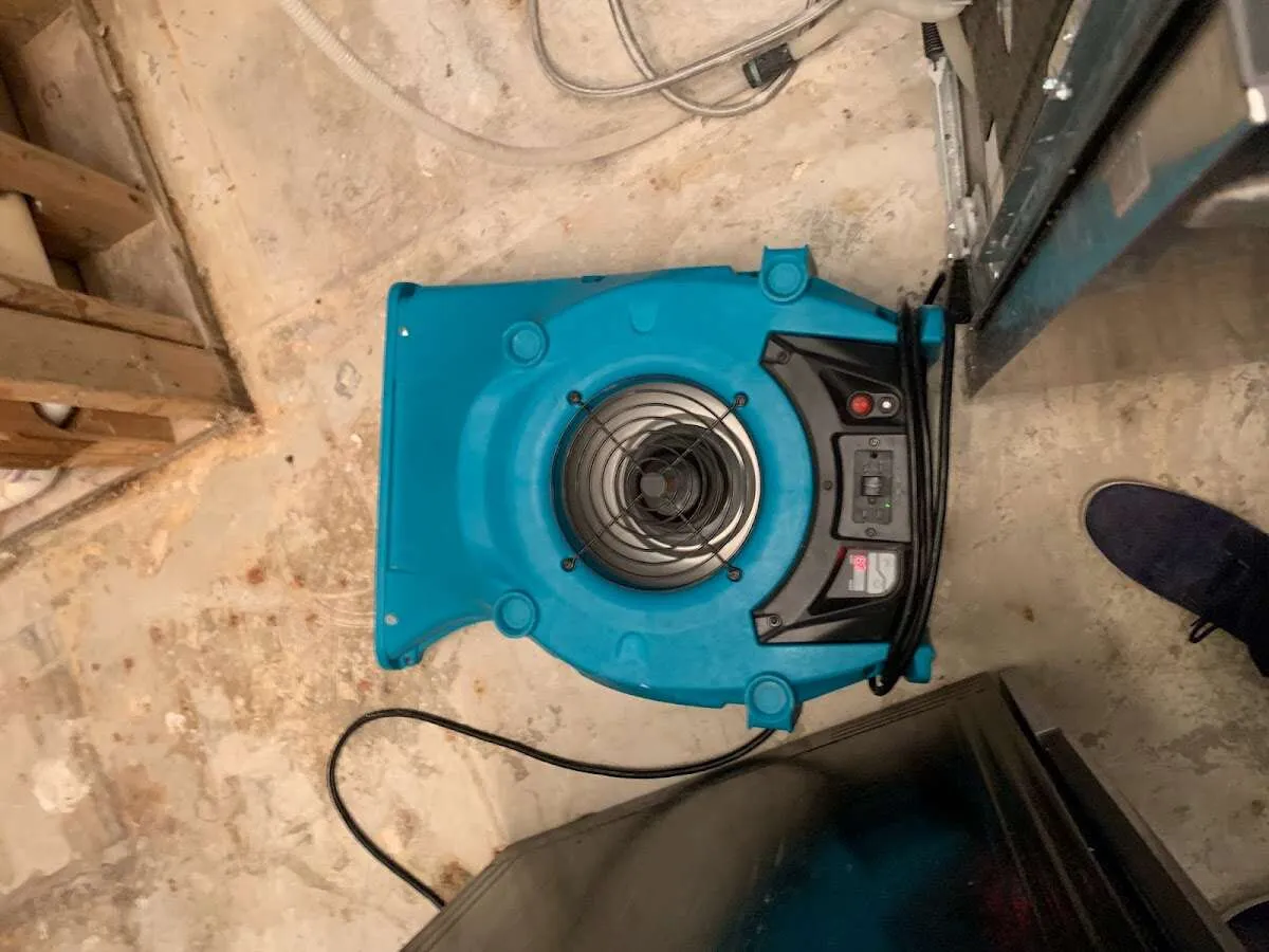 Air mover drying equipment for Mold Remediation & Removal in Upper Grand Lagoon